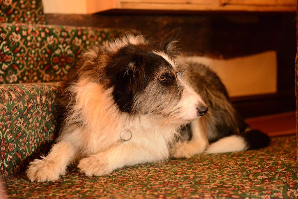 Badgers Hall Chipping Campden Dış mekan fotoğraf